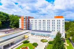 Территория