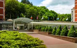 Территория