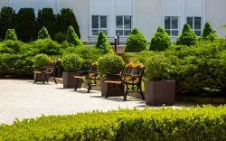 Территория