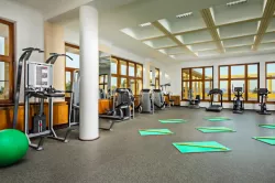 Тренажерный зал Тренажерный зал