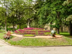 Цветочная черепаха Цветочная черепаха