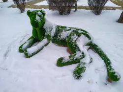 Зеленые скульптуры (Топиарии) Зеленые скульптуры (Топиарии)