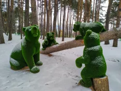 Зеленые скульптуры (Топиарии) Зеленые скульптуры (Топиарии)