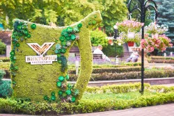 Территория Территория