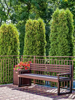 Территория Территория