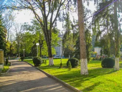 Территория Территория