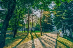 Территория Территория