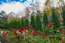 Территория