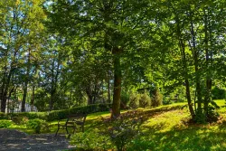 Территория