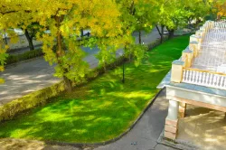 Территория