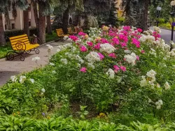 Территория Территория