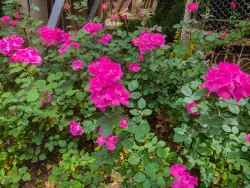 Территория Территория