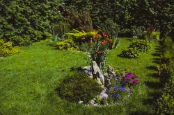 Территория Территория