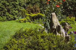 Территория Территория