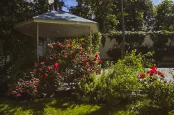 Территория Территория