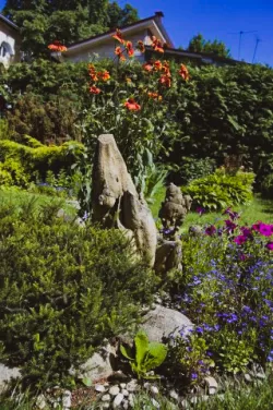 Территория Территория