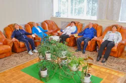 Аэрофитотерапия Аэрофитотерапия