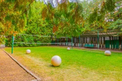 Спортивная площадка  Спортивная площадка