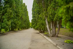 Территория Территория