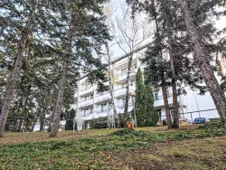 Территория