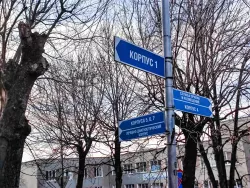 Территория