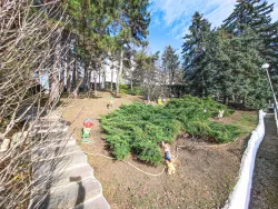 Территория