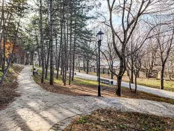 Территория