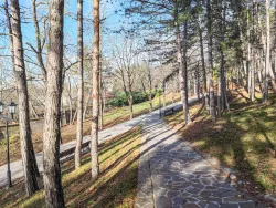 Территория