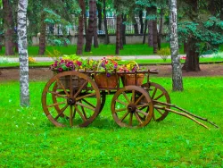 Территория Территория