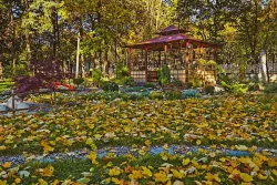 Территория Территория