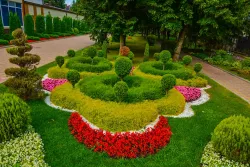 Территория Территория