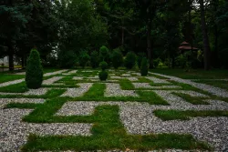 Зеленый лабиринт Зеленый лабиринт