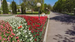 Территория