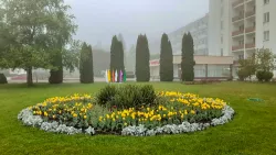 Территория