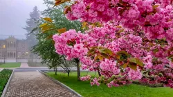 Территория