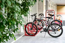 Территория Территория