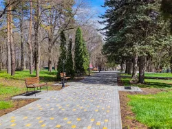 Территория Территория