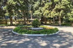 Клумба на территории Клумба на территории