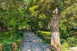 Лесная тропа Лесная тропа