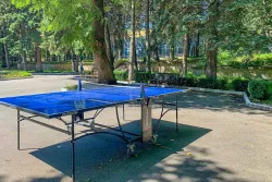 Стол для тенниса на территории Стол для тенниса на территории