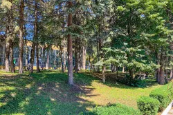 Лесная зона на территории Лесная зона на территории