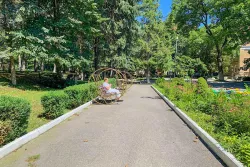 Аллея на территории Аллея на территории