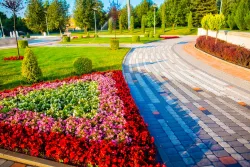 Цветочные аллеи Цветочные аллеи