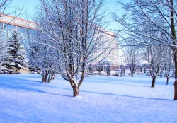 Территория зимой Территория зимой