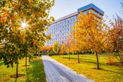 Осенние виды