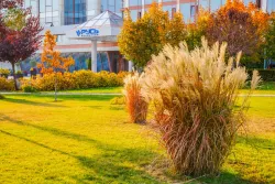 Осенние виды