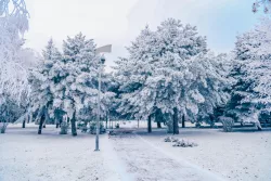 Территория зимой