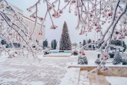 Территория зимой