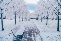 Территория зимой