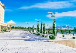 Территория